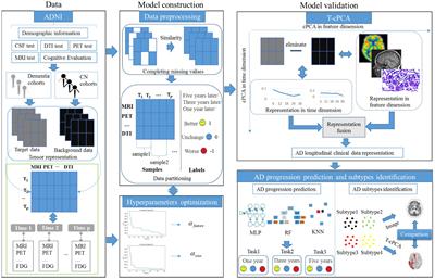 Mining Alzheimer’s disease clinical data: reducing effects of natural aging for predicting progression and identifying subtypes